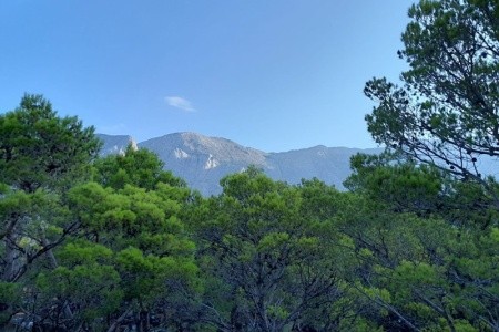 Depandance Hotelu Alemaris (Ex. Alem) - 17