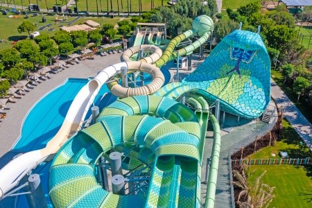 Lara Barut Collection - 4