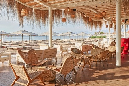 Lara Barut Collection - 11