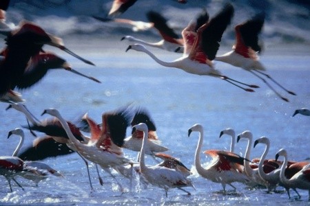 Peru a Bolívie - 23