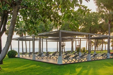 Acanthus & Cennet Barut Collection - 25