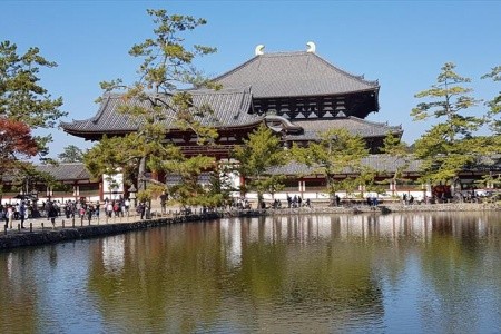 Japonsko v barvách podzimu - 8