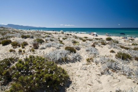 Camping Baia Paradiso - 1