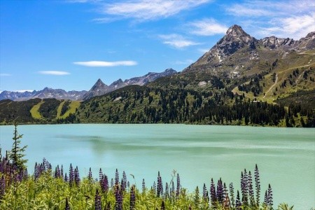 Panorama Hotel Almhof - 37