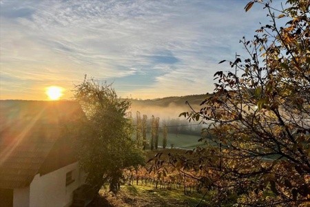 Weingut Rohrbacher (Gamlitz) - 10