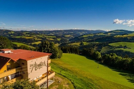 Der Almblick (Strallegg) - 1