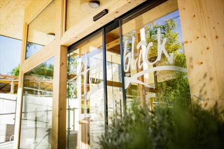 Der Almblick (Strallegg) - 2