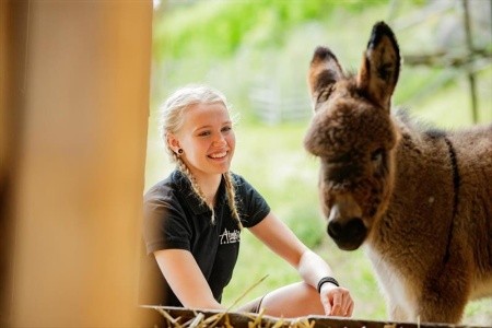 Der Almblick (Strallegg) - 15