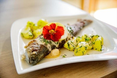 Der Almblick (Strallegg) - 16