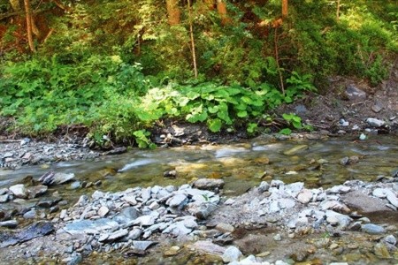 Der Almblick (Strallegg) - 19