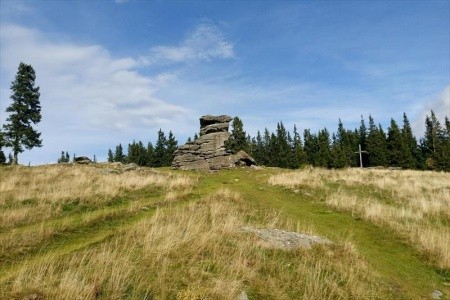 Der Almblick (Strallegg) - 20