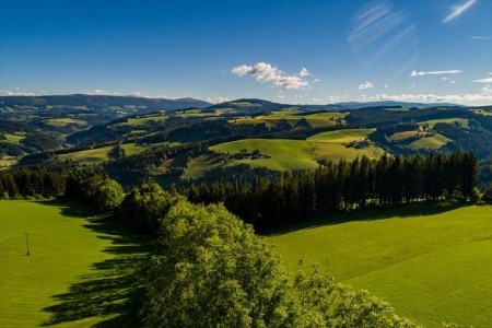 Der Almblick (Strallegg) - 24