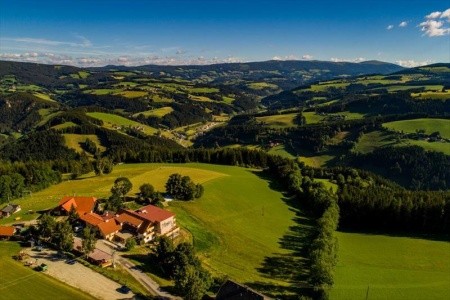 Der Almblick (Strallegg) - 25