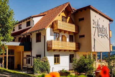 Der Almblick (Strallegg) - 27