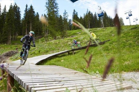 Amadeus - Micheluzzi - 41