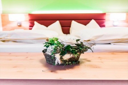 Schladmingerhof - 12