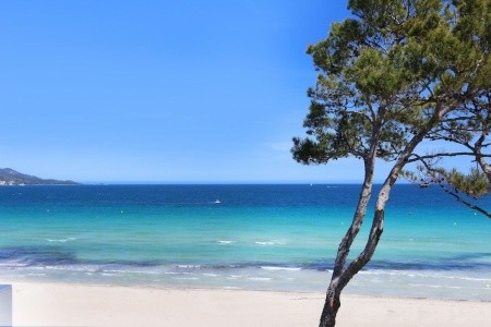 Španielsko Mallorca Iberostar Alcudia Park 8 dňový pobyt All Inclusive Letecky Letisko: Bratislava September 2026 ( 5/09/26-12/09/26)