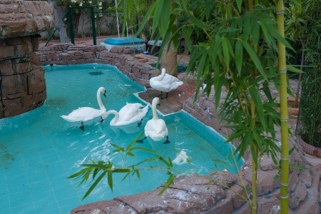 Club Akman Beach - 22