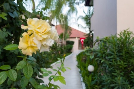 Club Akman Beach - 24