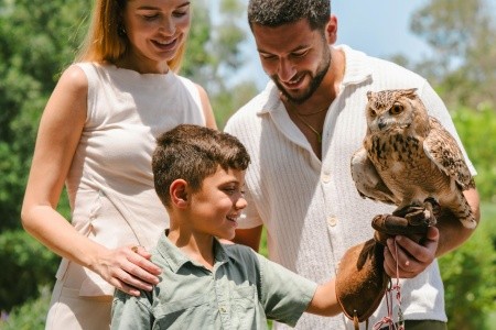 Ja The Resort - Ja Beach Hotel - 41