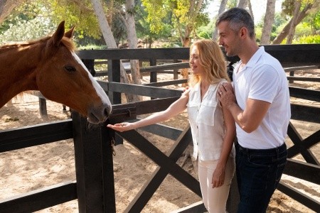 Ja The Resort - Ja Palm Tree Court - 108