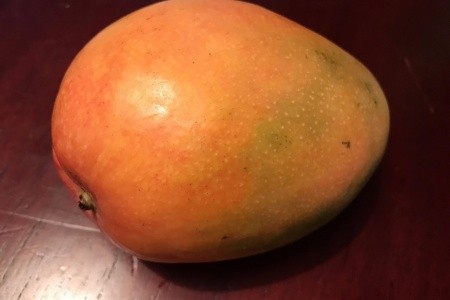 Kostarika a Panama - národní parky, moře, rafting, procházky - 2