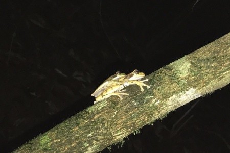 Kostarika a Panama - národní parky, moře, rafting, procházky - 3