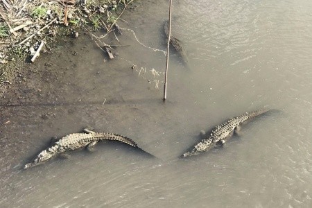 Kostarika a Panama - národní parky, moře, rafting, procházky - 7
