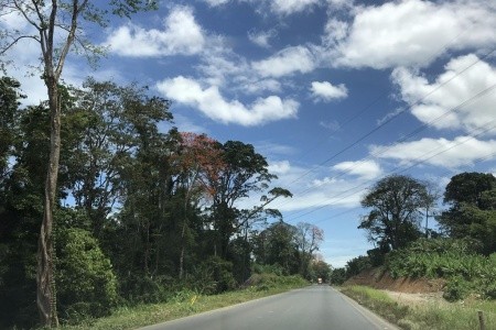 Kostarika a Panama - národní parky, moře, rafting, procházky - 15