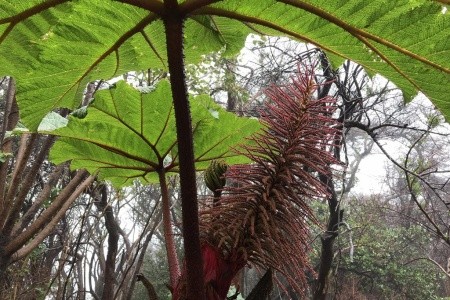 Kostarika a Panama - národní parky, moře, rafting, procházky - 17