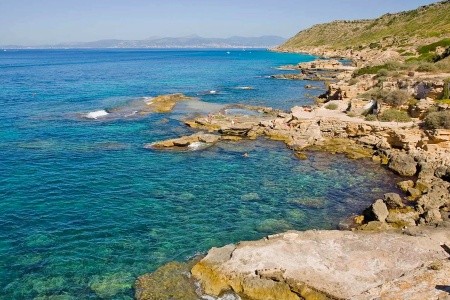 Globales Maioris (Ex. Ola Maioris) - 5