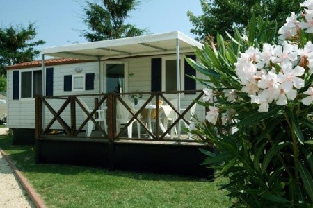 Butterfly Camping Village - 22