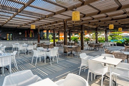 Kirman Calyptus - 15