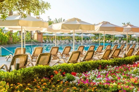 Kirman Calyptus - 16