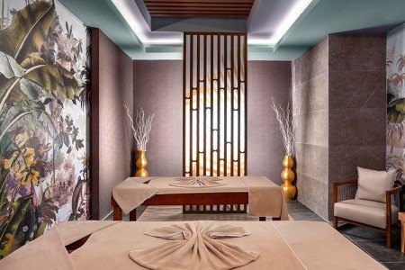 Kirman Calyptus - 23