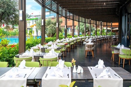 Kirman Calyptus - 24