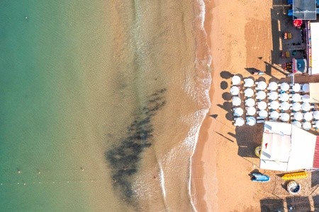 Kirman Calyptus - 25