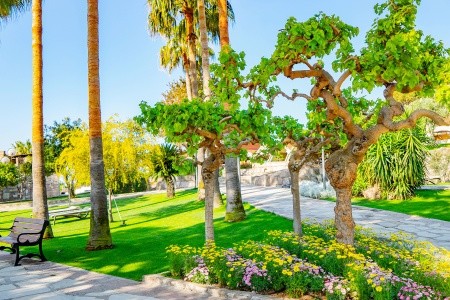 Arum Barut Collection - 9