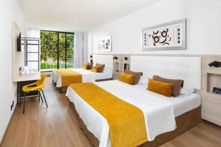 Alexandre Gala (Ex. Lti Gala) - 8