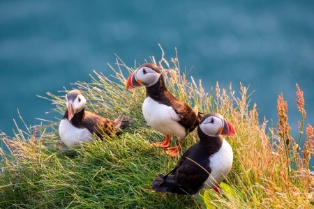 Unikátní cesta na Island - 7