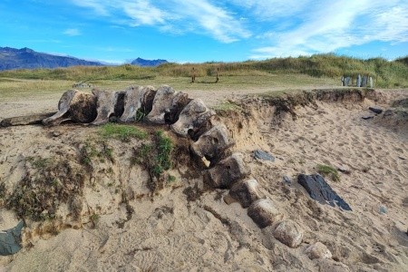 Unikátní cesta na Island - 21