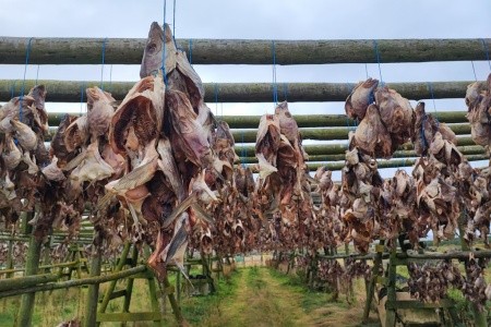 Unikátní cesta na Island - 22