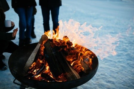 Alpenrose (Kühtai) - 3