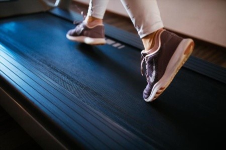 Alpenrose (Kühtai) - 22