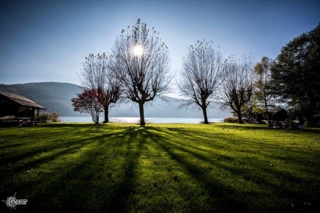 Gasthof Zur Post - 19