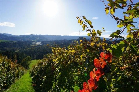 Rakúsko Štajersko Restaurant Kloepferkeller (Eibiswald) 5 dňový pobyt Raňajky Vlastná September 2026 (13/09/26-17/09/26)