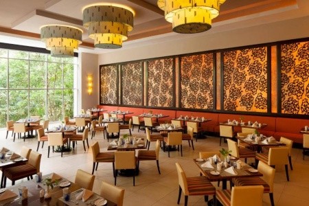 Residences At The Fives Oceanfront (Puerto Morelos) - 15