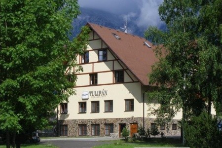 Tulipán