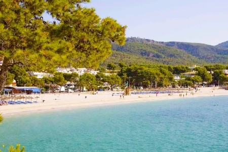 Globales Panama (Ex. Ola Panama) - 4