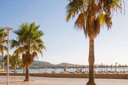 Globales Panama (Ex. Ola Panama) - 17